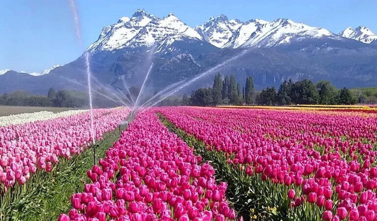 Trevelin: El Pueblo Mágico de la Patagonia Argentina que Te Espera