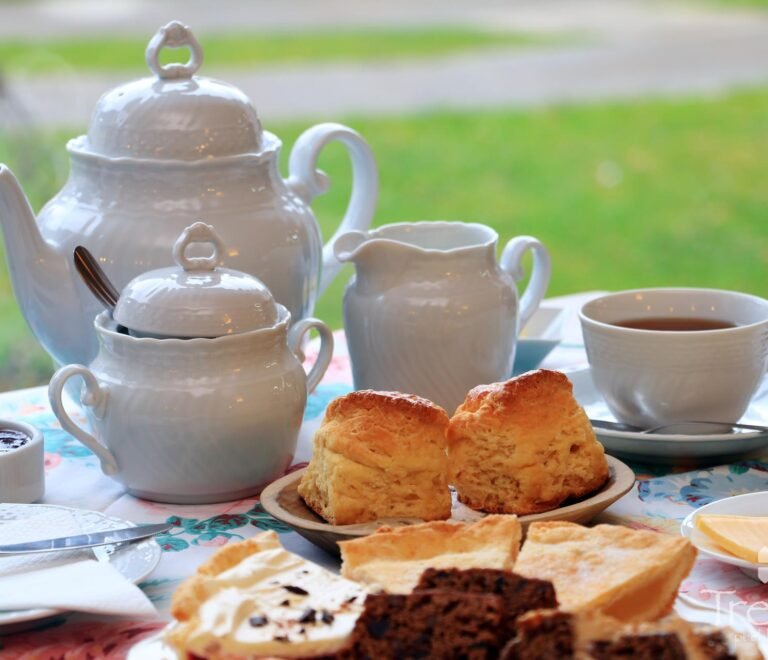 ¡La Patagonia te espera con una torta negra y un té para el recuerdo!